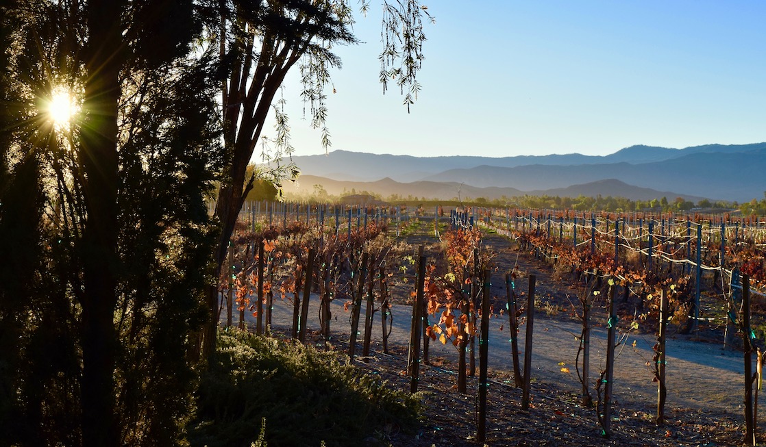 How to Spend 2 Days in Temecula: Wineries, Hiking and Dancing!
