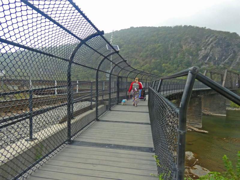 A man walking a dog over a bridge with wire mesh fencing on its side and a river below.