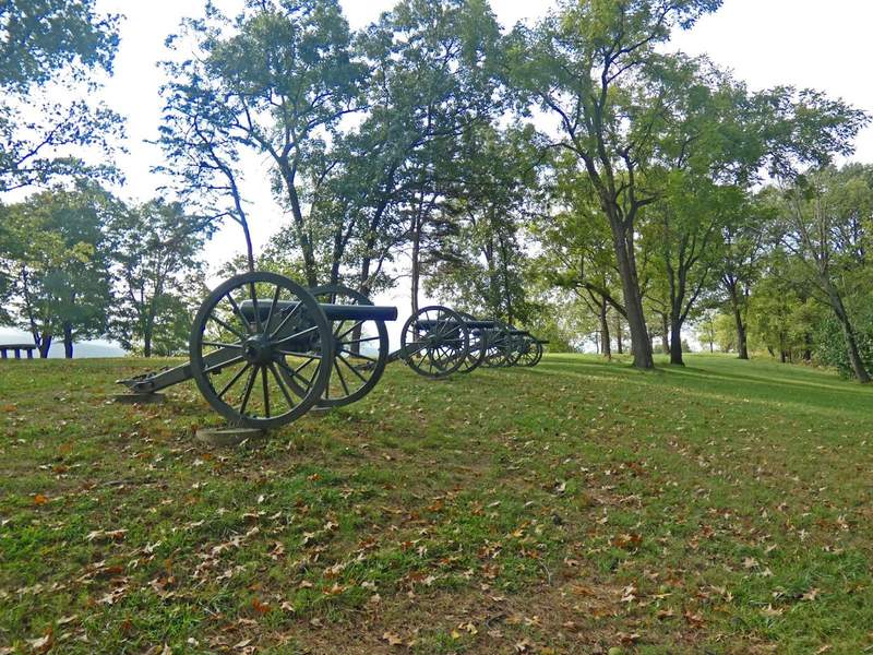A row of cannons atop a grassy hill.