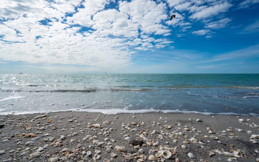 Florida in a Flash: 12 Quick & Memorable Weekend Getaways for Women Traveling Solo, with Girlfriends or Family