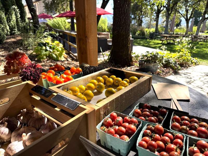 Brightly colored farm stand with baskets of tomatoes, garlic and a view of the picnic area and vineyard