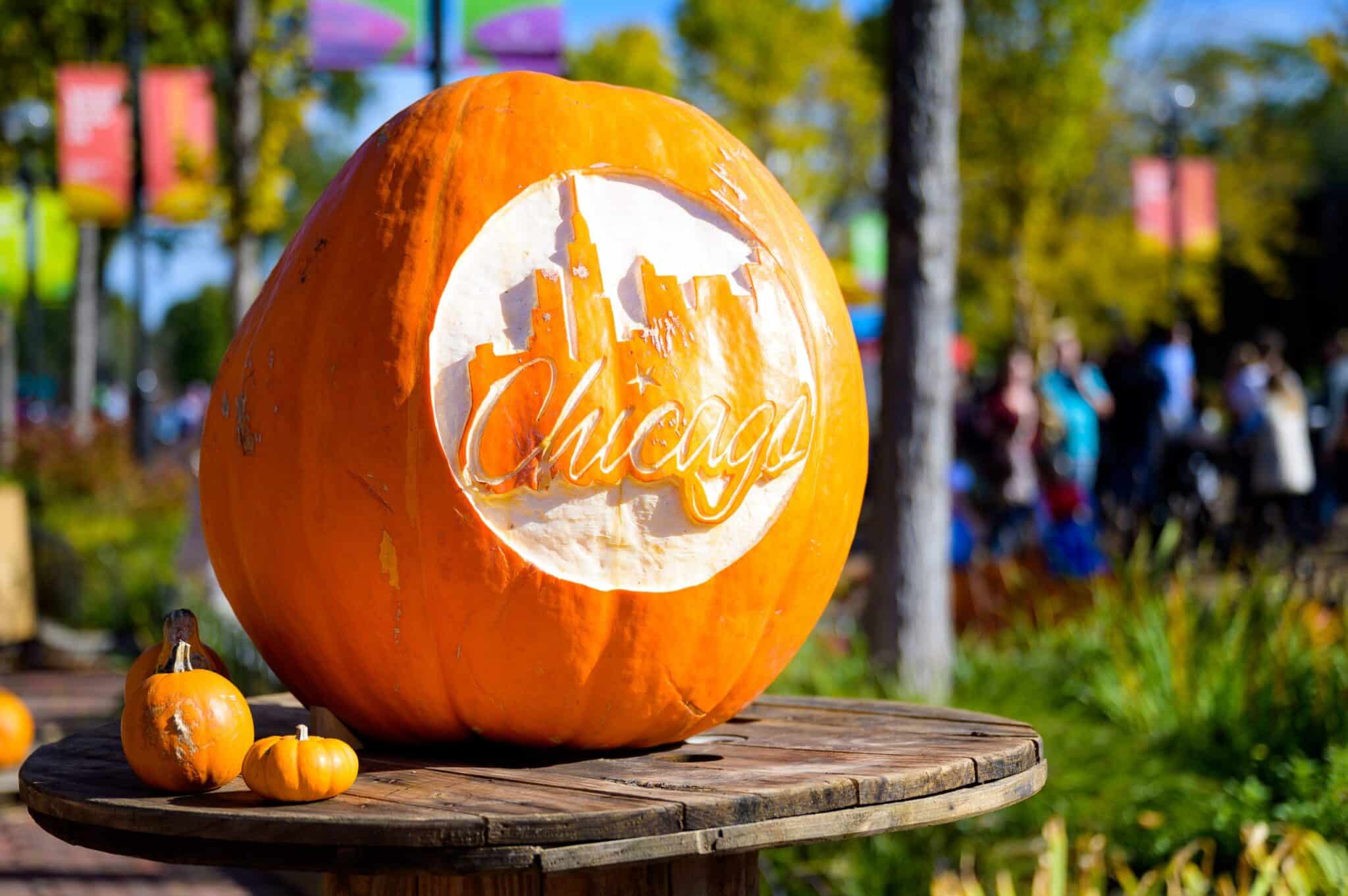 Chicago Fall Fun: Top Things to Do in the Windy City in Autumn