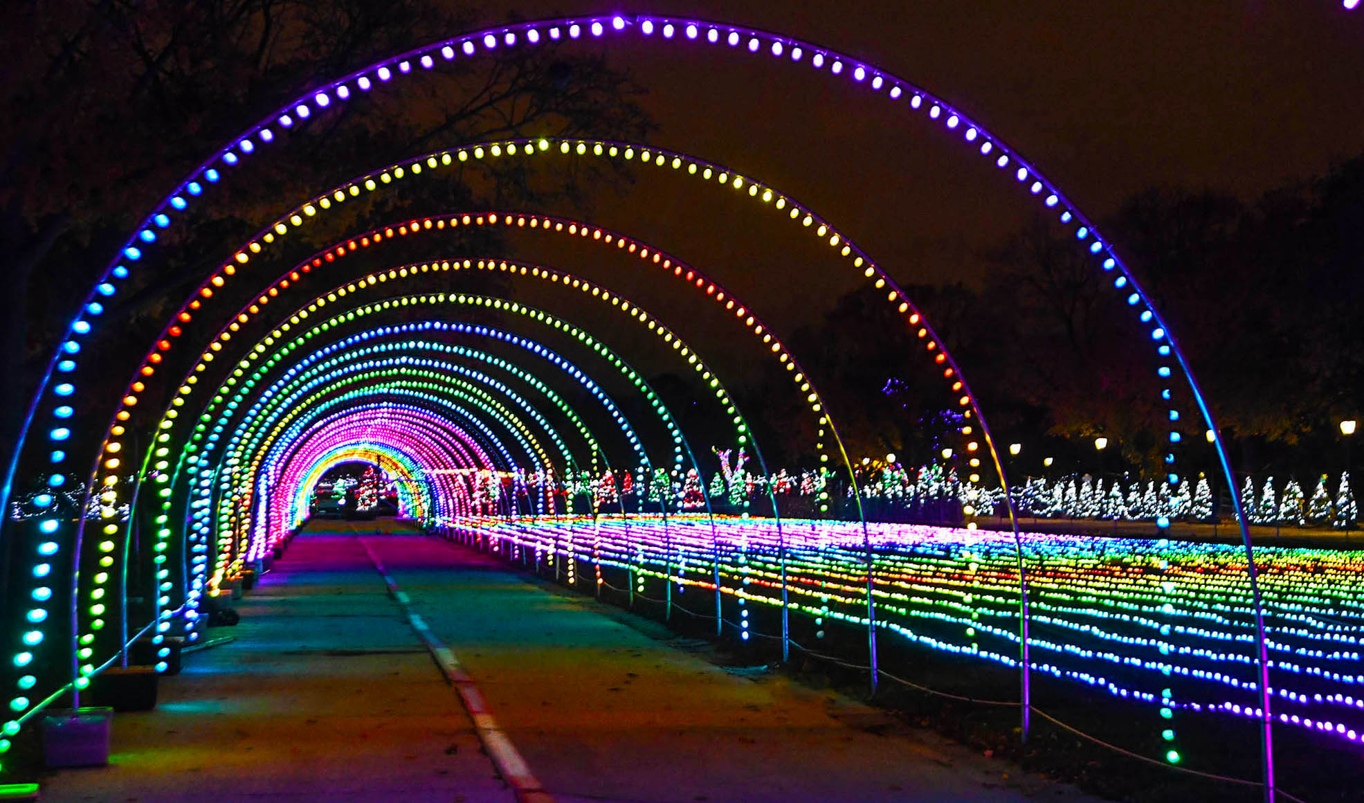 Tunnel of lights at Holiday Magic at Brookfield Zoo