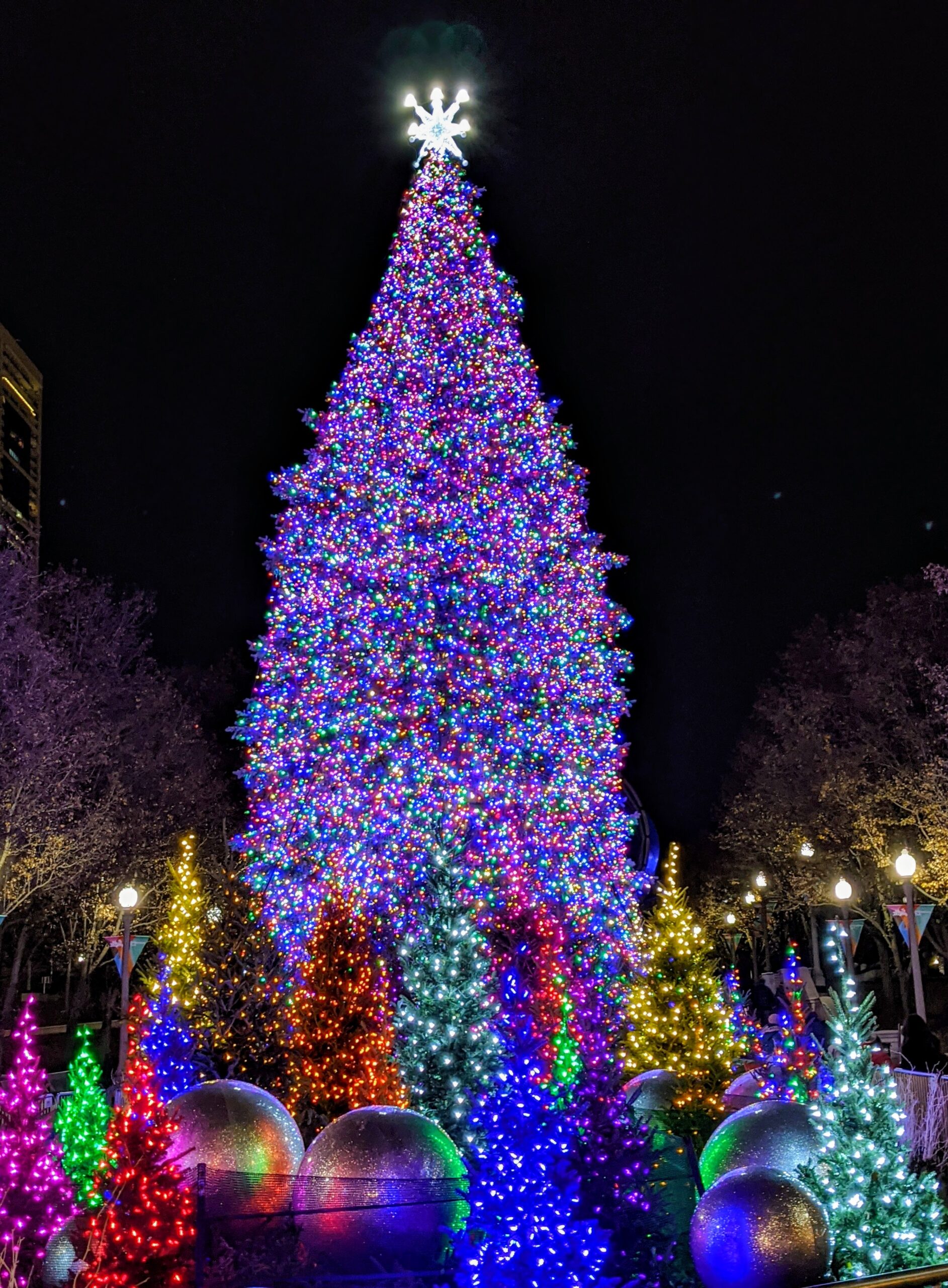 Christmas in Chicago - the city tree in Millennium Park