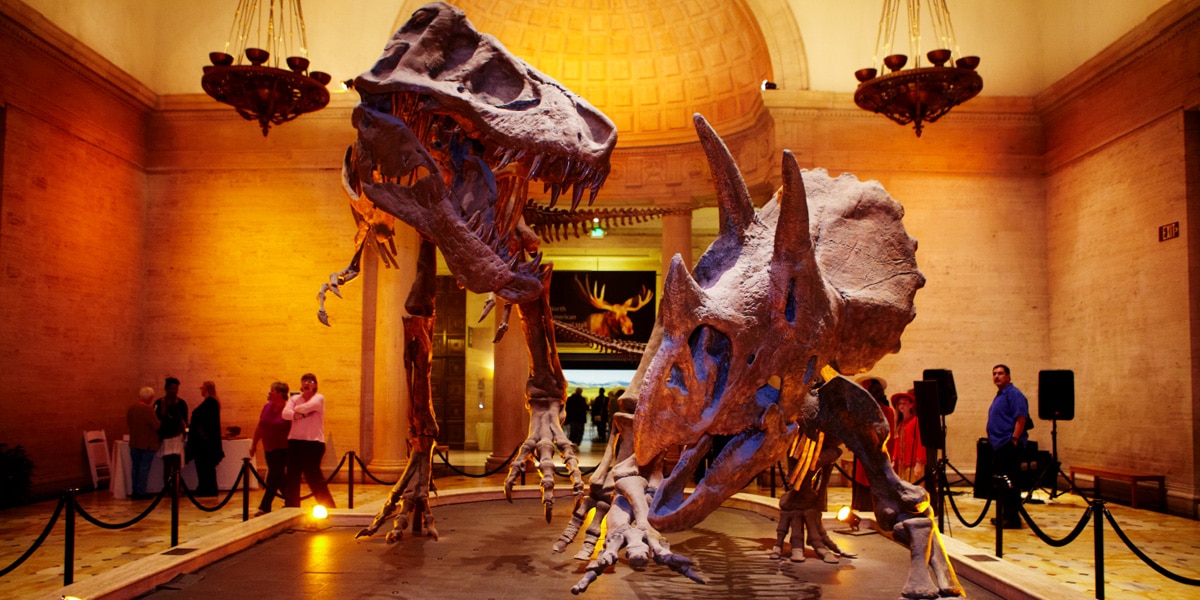 Best Dinosaur Museums in the US Kids Will Love (Adults Too!)