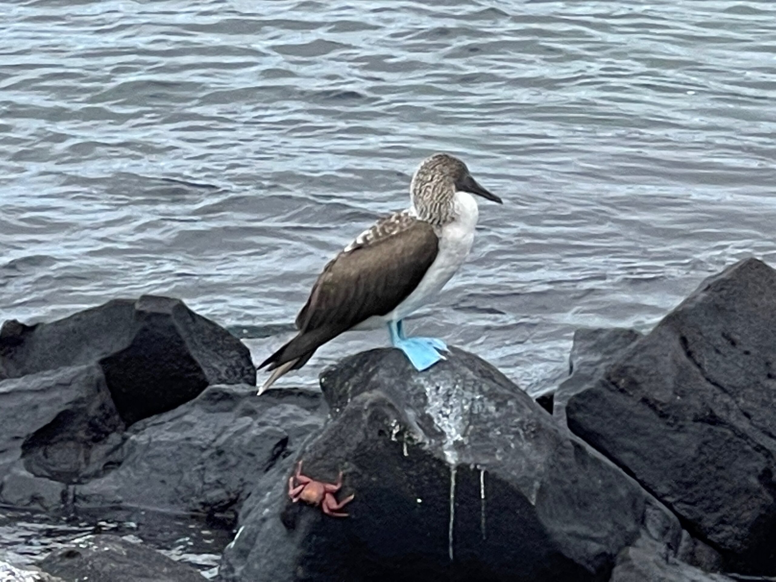 Activities on an Exoticca Tour to Ecuador and the Galapagos