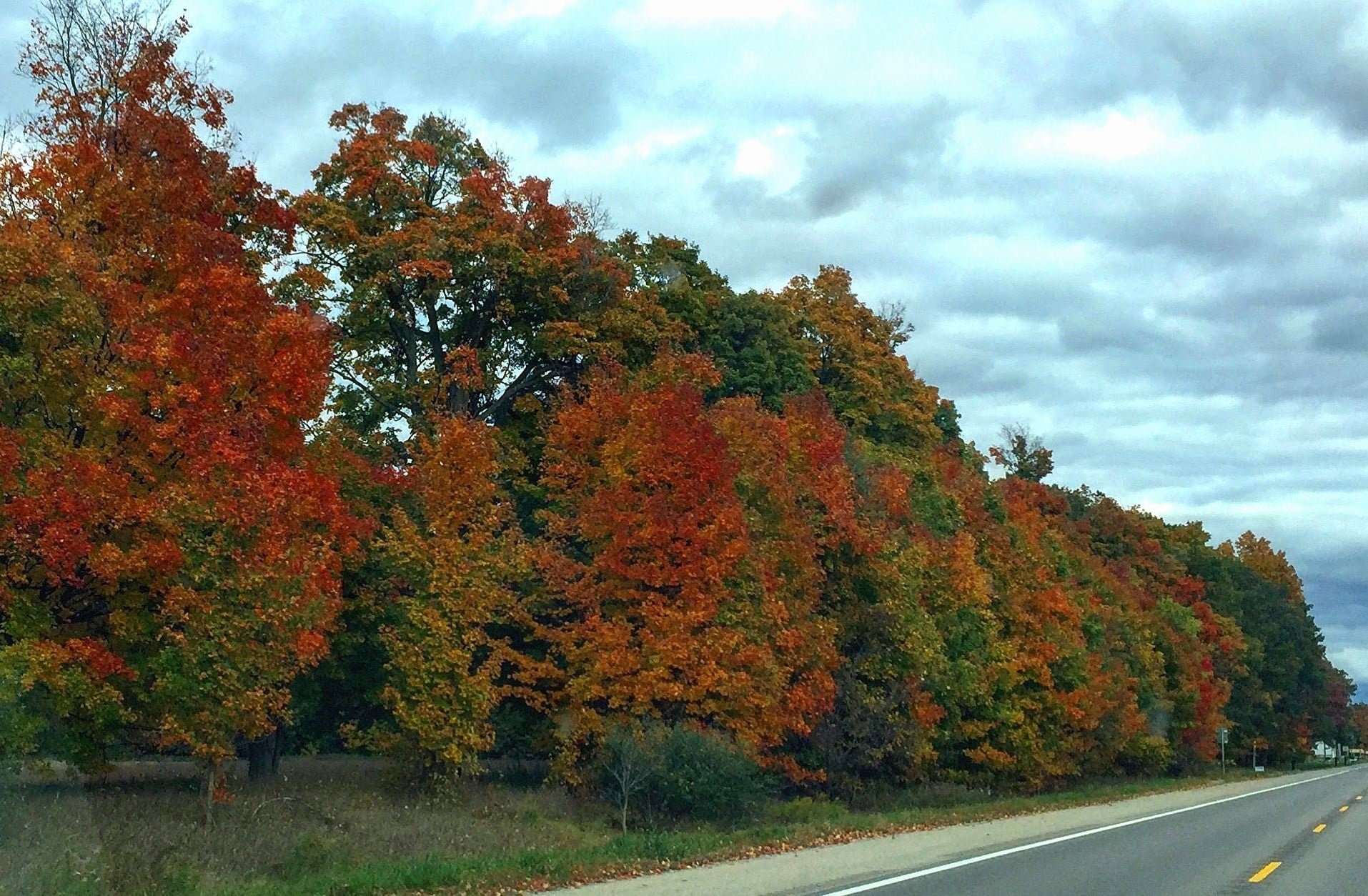 25 Fabulously Fun Fall Things to Do in Michigan for All Ages