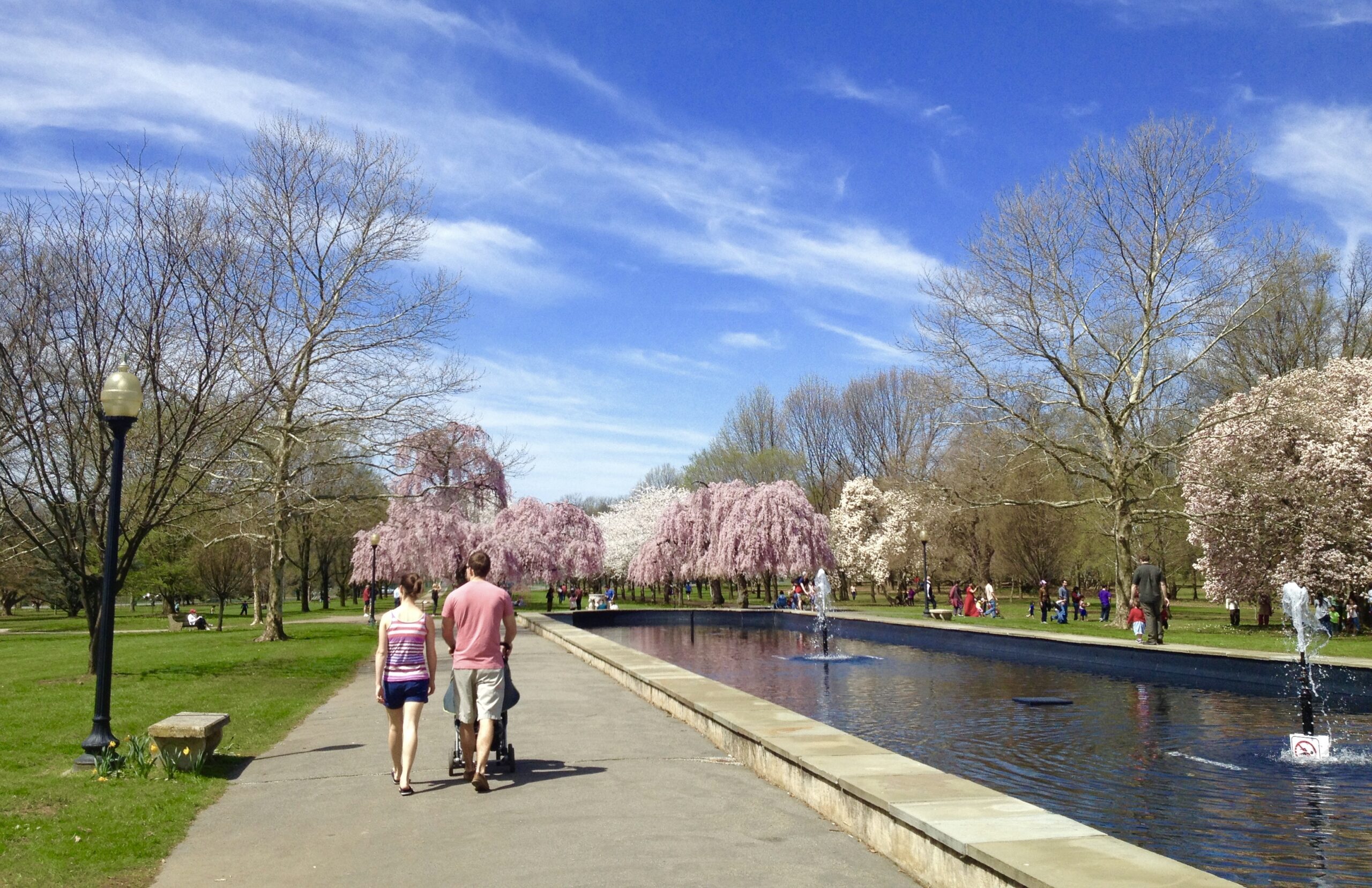 Best Places to See Cherry Blossoms in Philadelphia
