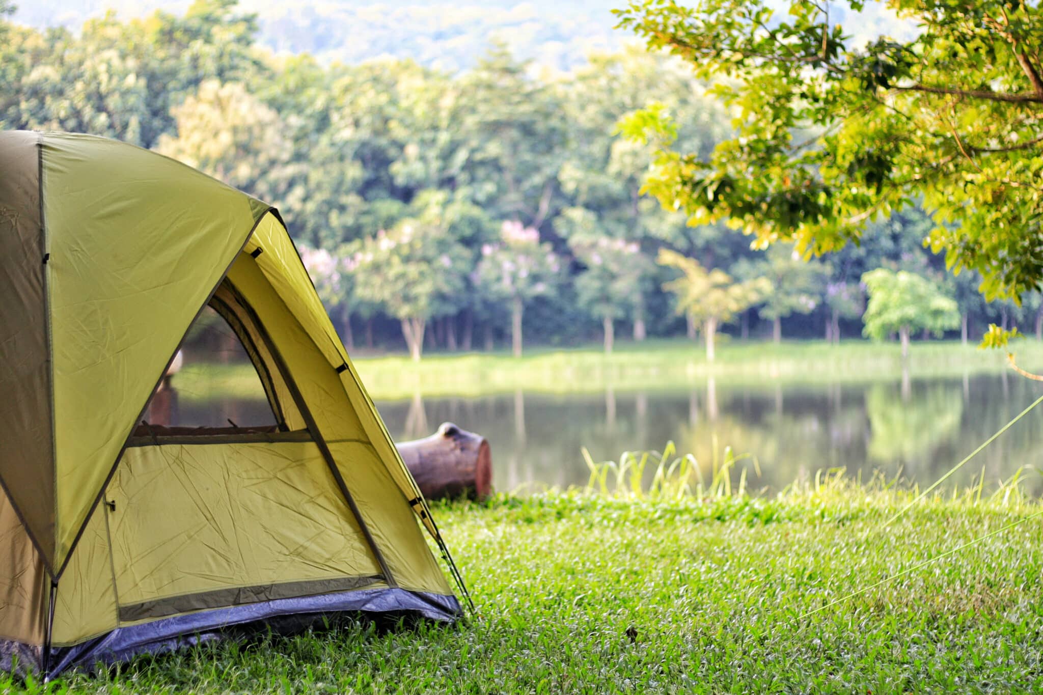 12 Best Massachusetts Campgrounds Perfect for Adventure