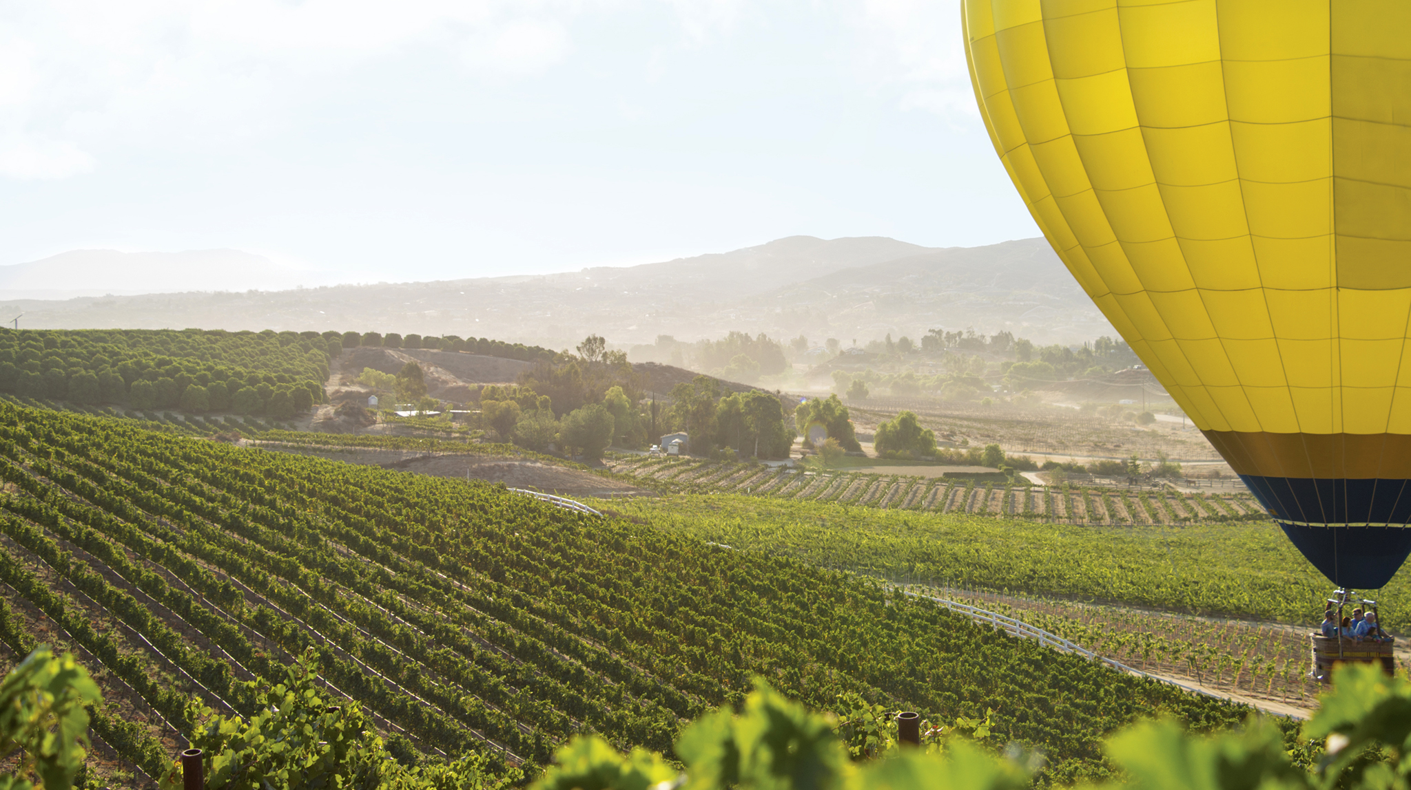 14 Fun Things to do in Temecula With (and Without) Kids