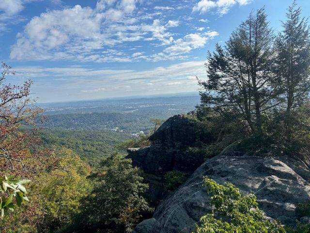 Leaves starting to turn at Rock City Gardens