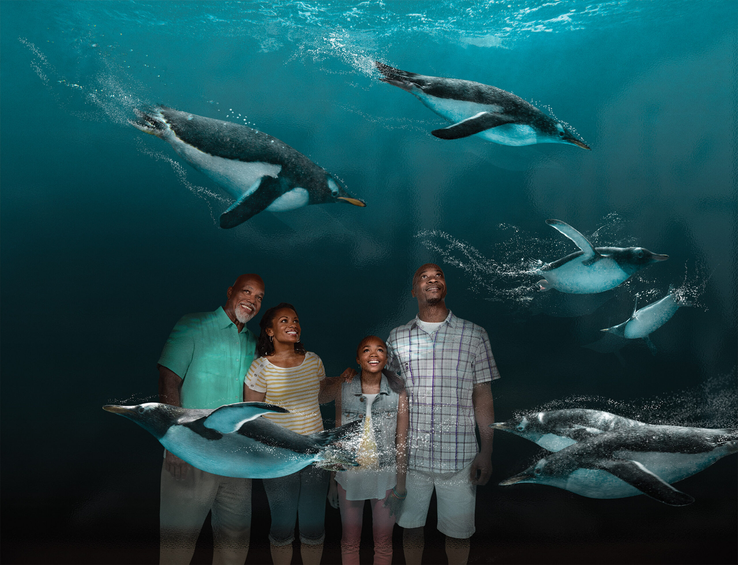 From Pools to Perks, Which Hotel Near SeaWorld Orlando Will Work Best for Your Family?