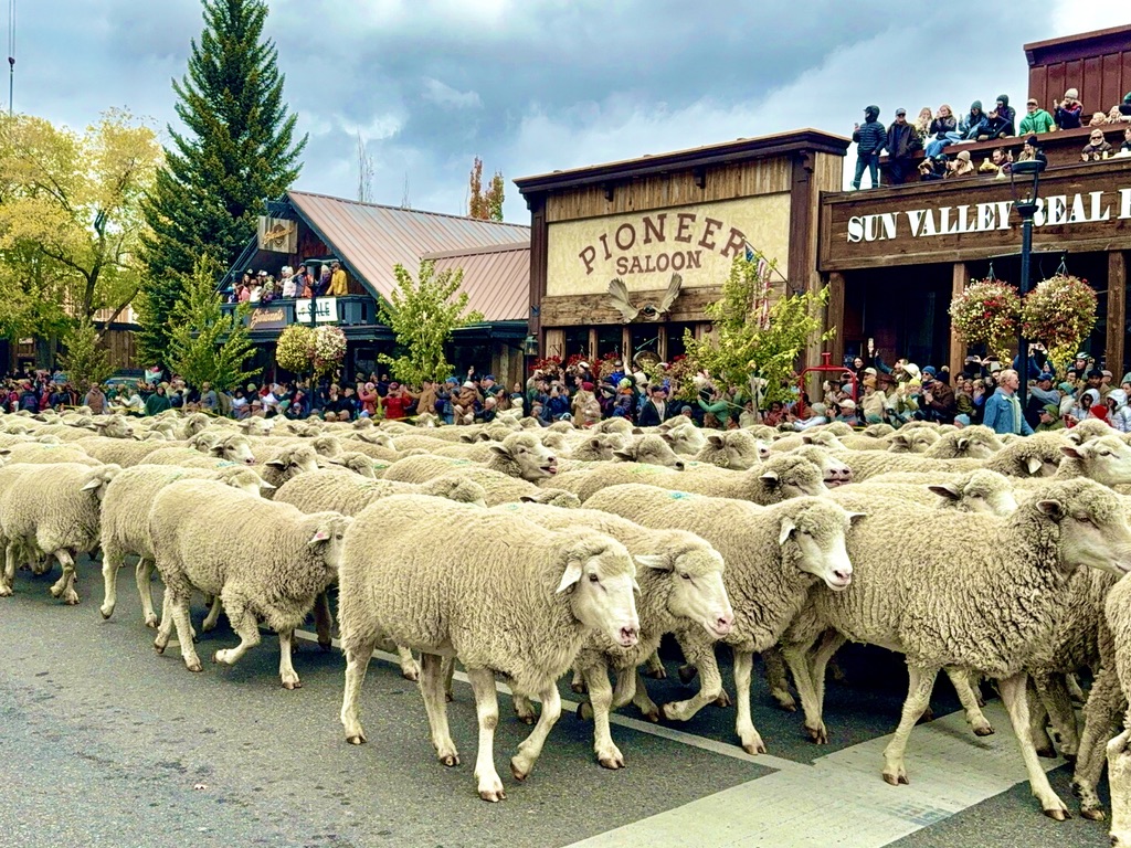 A Girlfriend Getaway to the Trailing of the Sheep Festival in Idaho