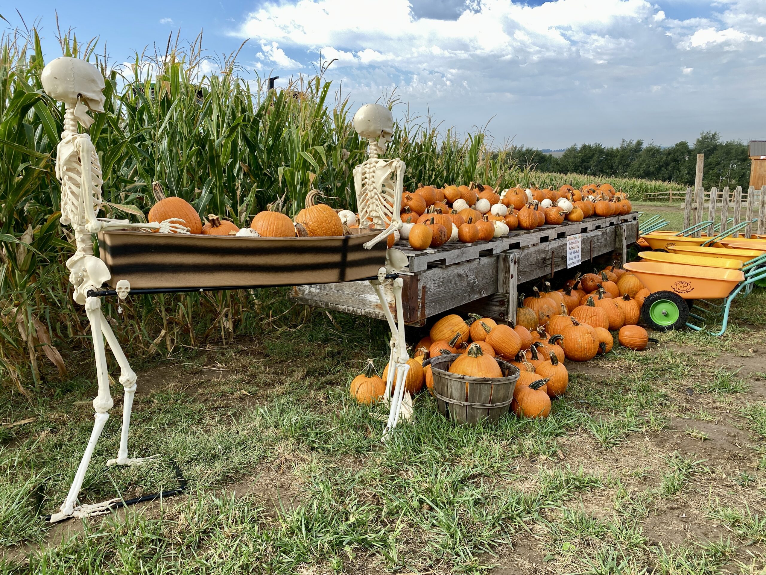 Spooky or Sweet? 13 Unforgettable Halloween Getaways