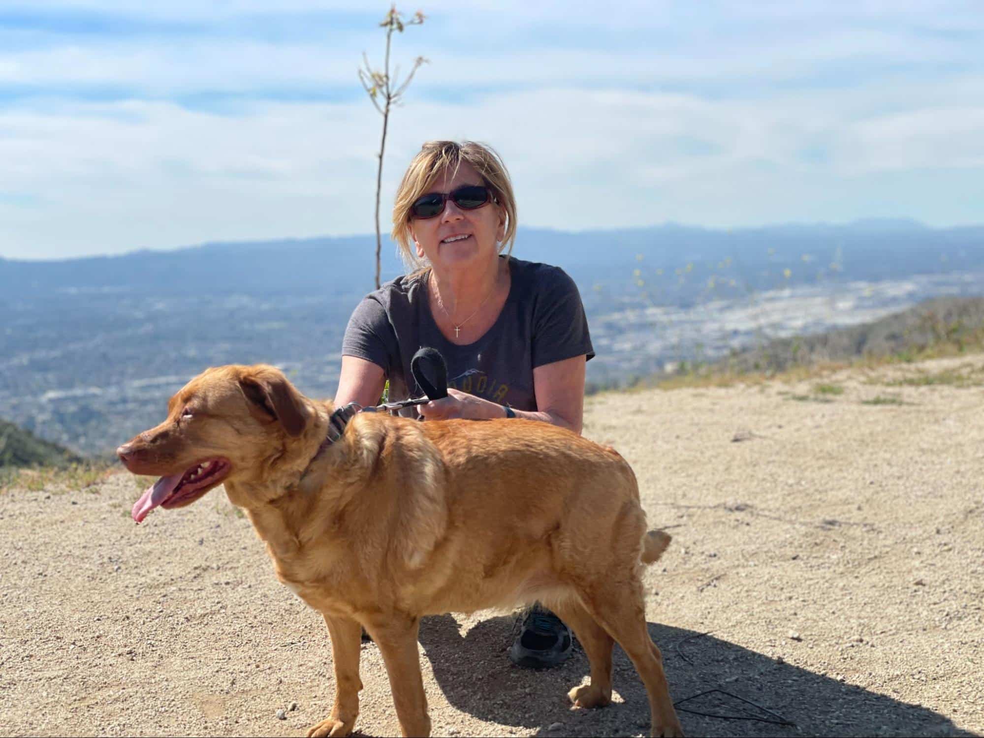 Everything You Need for a Safe & Fun Road Trip with Your Fur Kids