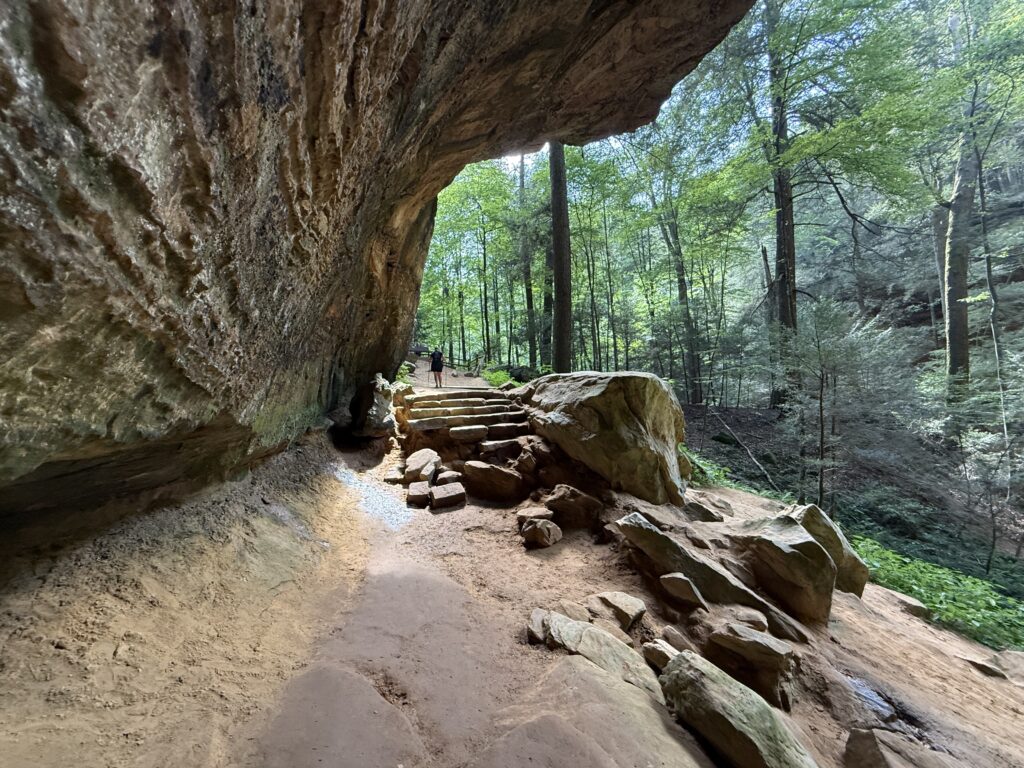 View from inside Ash Cave, toward the rocky steps leading up to the rim trail, with forest beyond.
