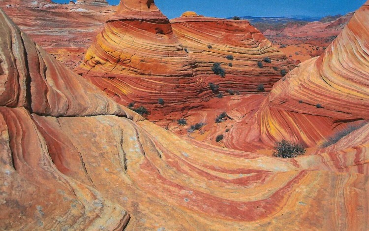 How to Hike The Wave in Coyote Buttes, Arizona. Amazing palate of colors. 
