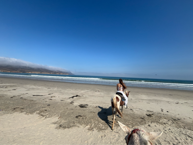 Cruise Control Off, Saddle On: Ensenada’s Best Tour Service & Shore Excursions