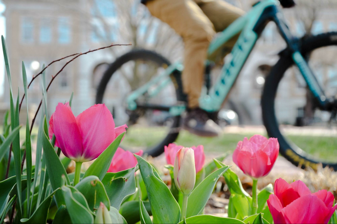 A Bike Weekend Getaway to Bentonville