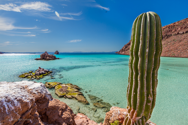 Snorkel with Sea Lions, Sip Margaritas and Sleep Under the Stars: A Glamping Adventure in Mexico