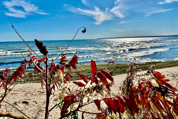 Taking a walk in Door County could possibly end in one of its 53 public beaches.