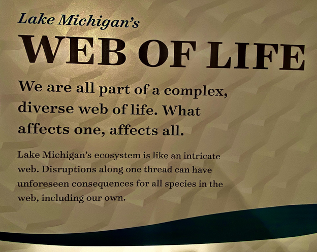 Interactive exhibits at the Maritime Museum in Door County