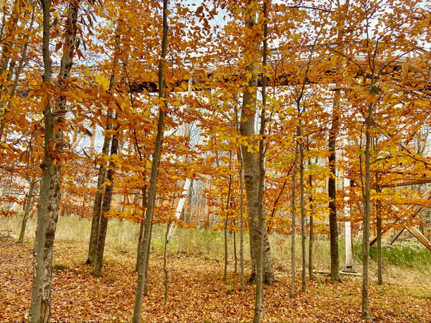 Climb the Edge Water Towers with ease of the gentle-sloping ramp
