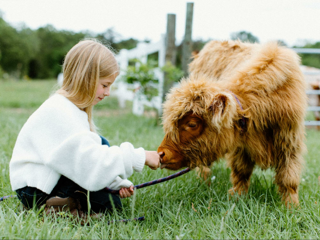 Family-Friendly Animal Encounters Brenham