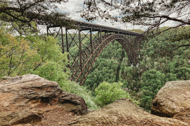 Rocks surrounded by greenery with a long brown bridge in the background over top of lush green trees.
