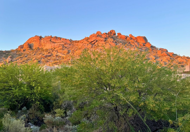 Sunlit desert rock formations at golden hour with green desert foliage in the foreground