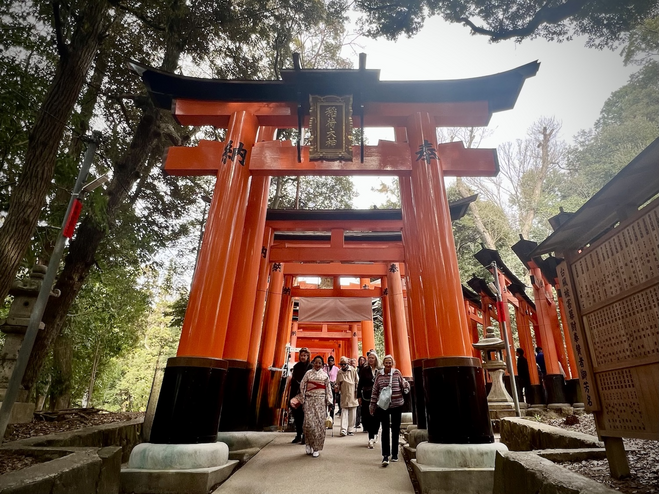 Why You Should Join a Tour for Solo Travel to Japan