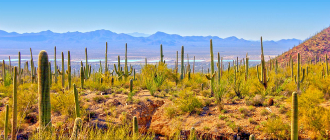 Budget-friendly vs. Splurge-worthy: Tucson, Arizona