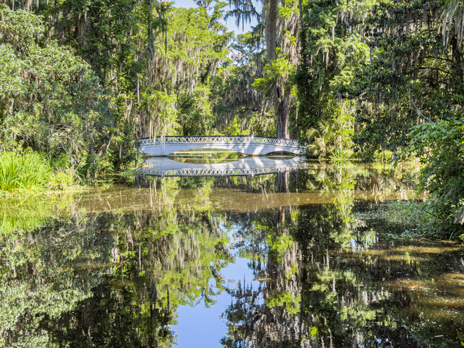 Road Trip from Aiken to Charleston, South Carolina
