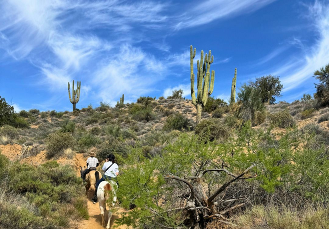 Cacti and desert bushes with two horseback riders