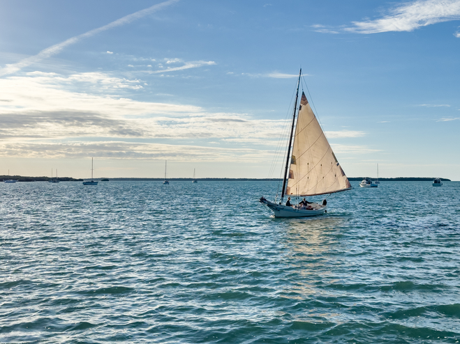 Solo Road Trip Miami to Tampa