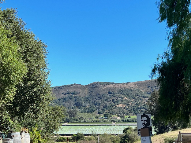 Wine Tasting and Beyond: 6 Fun Things to Do In Lompoc CA