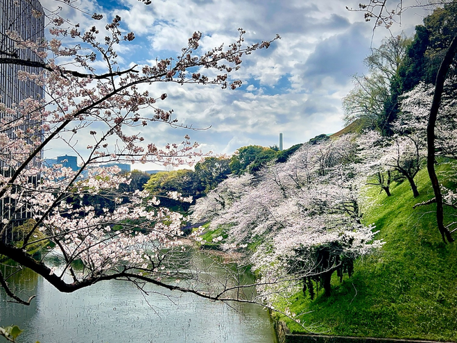 Three Solo Days in Tokyo