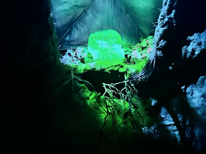 Walking into a grave at a haunted house