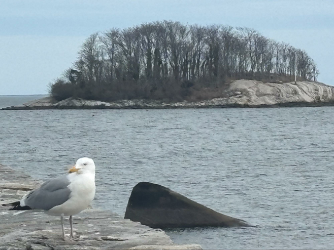 One Tank Weekend: NYC to Madison Connecticut