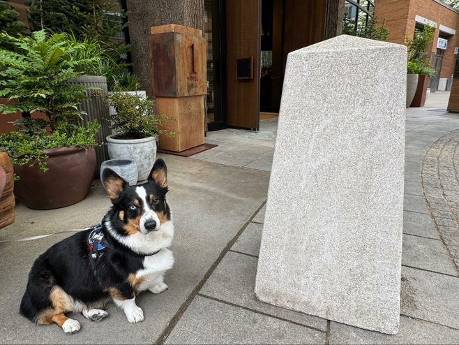 Discover Wellness at 1 Hotel Seattle: A Nature-Inspired Retreat with Over 1,000 Plants